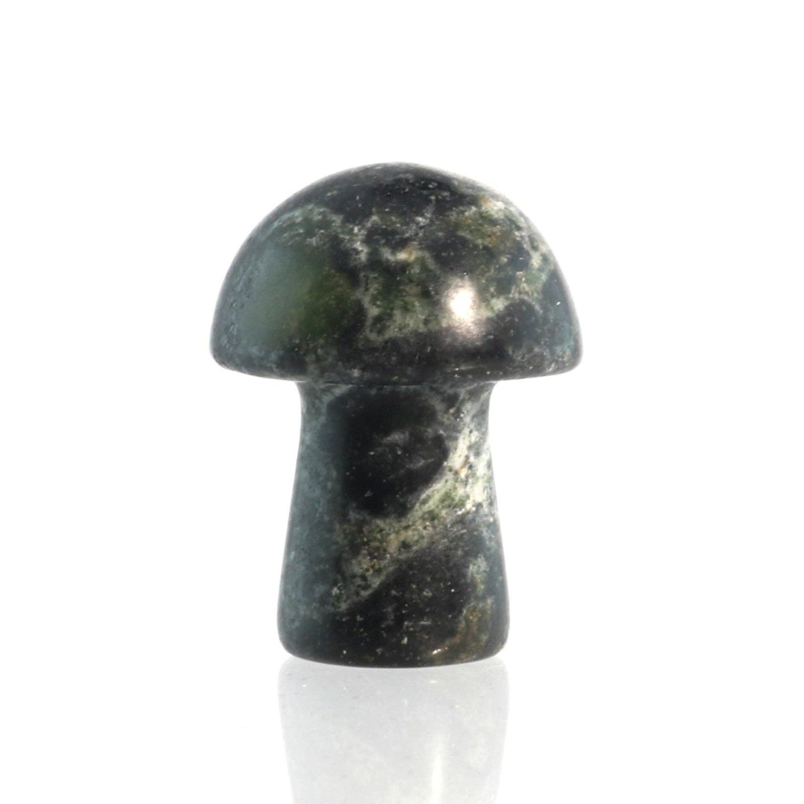 Champignon en Jaspe Kambaba