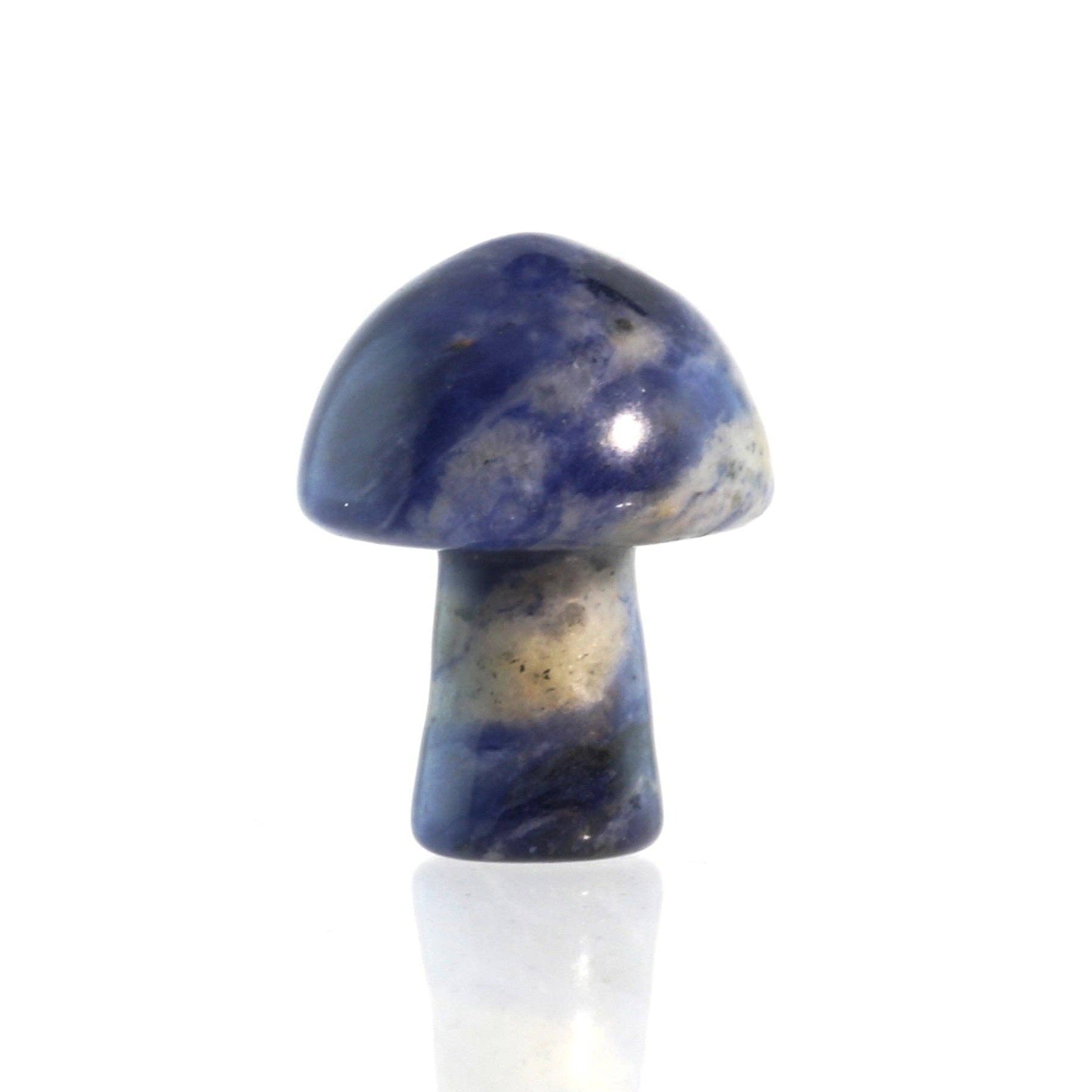 Champignon - Sodalite