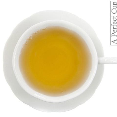 Tisane - Focus Pocus