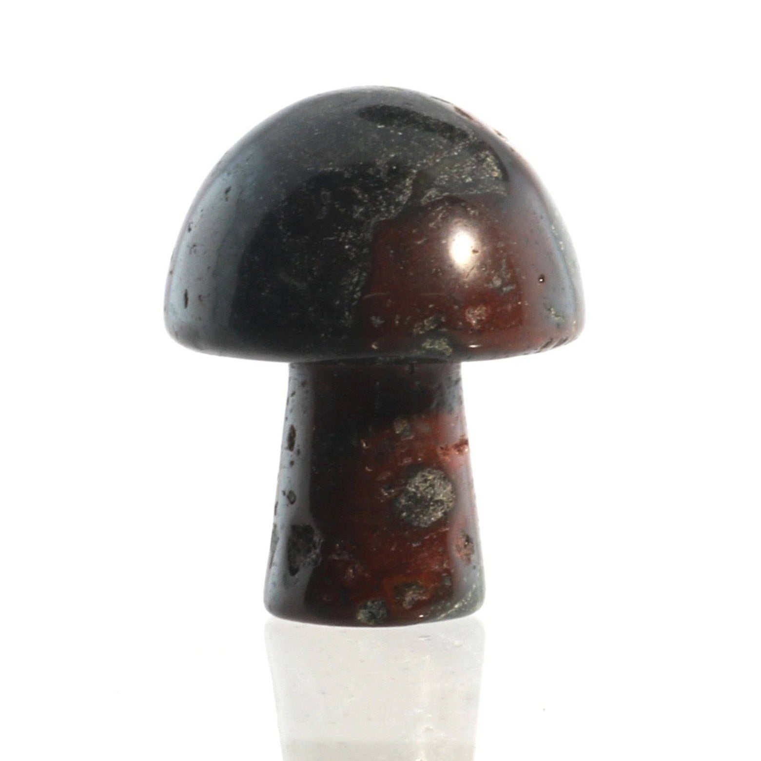 Champignon - Jaspe Sang de Dragon