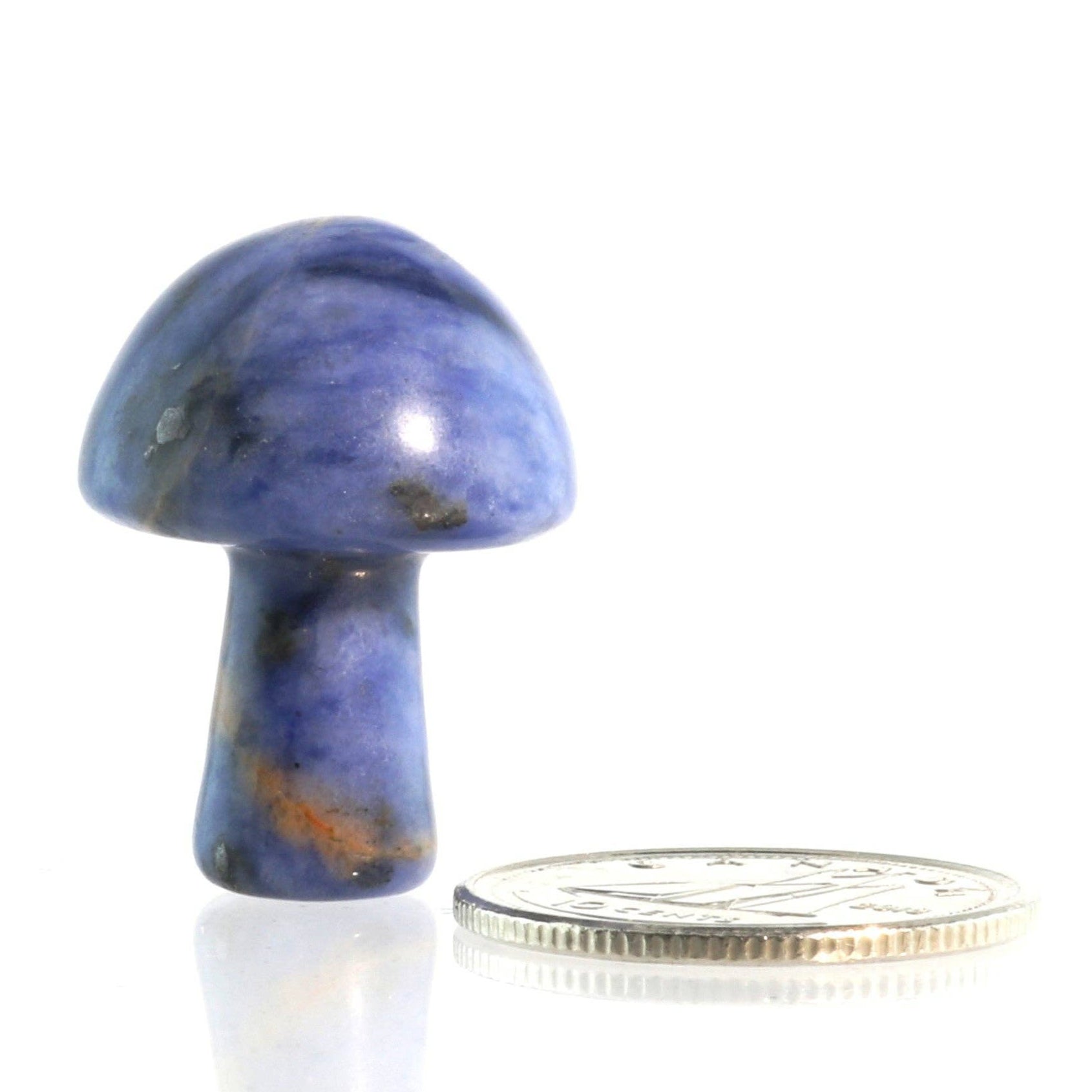 Champignon - Sodalite