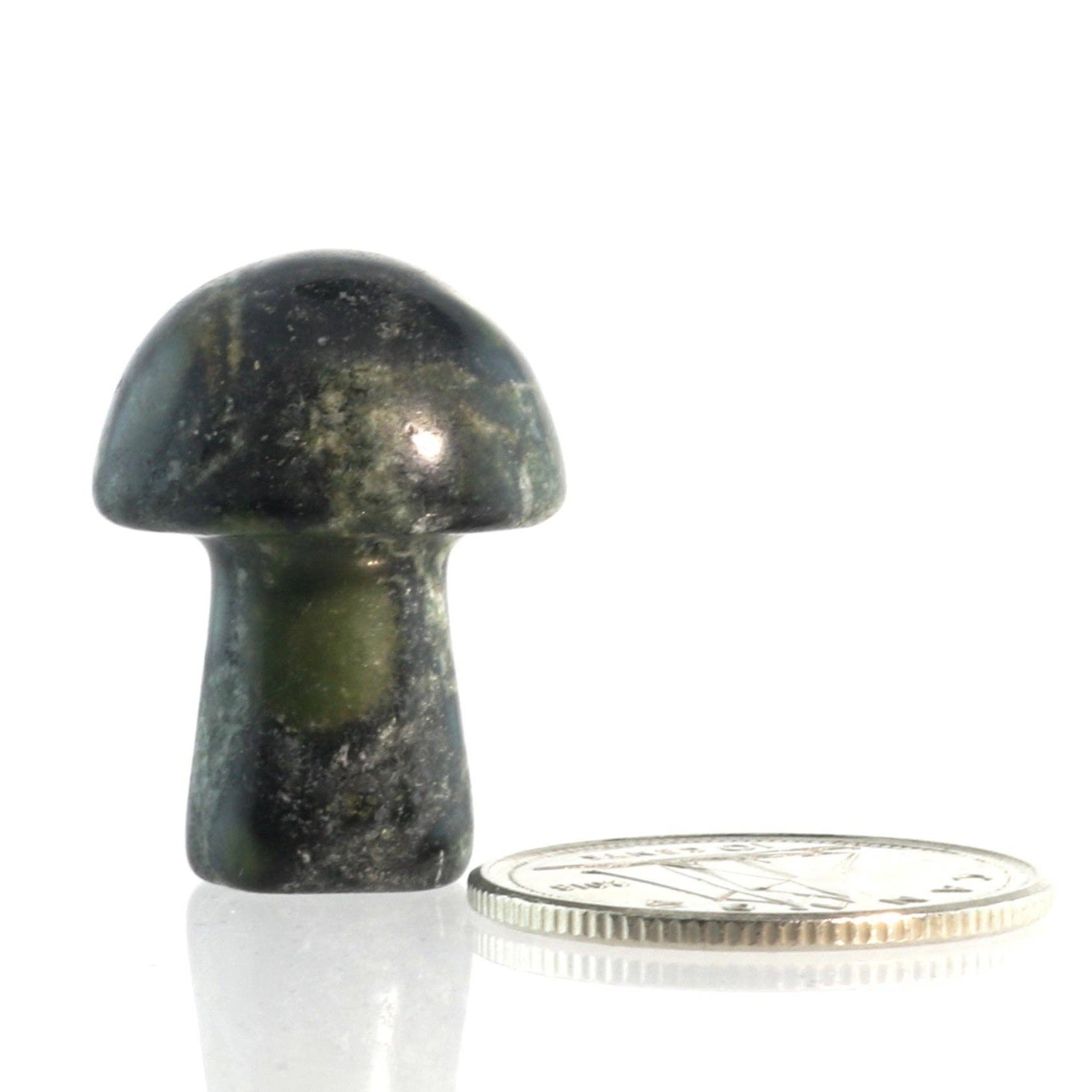 Champignon en Jaspe Kambaba