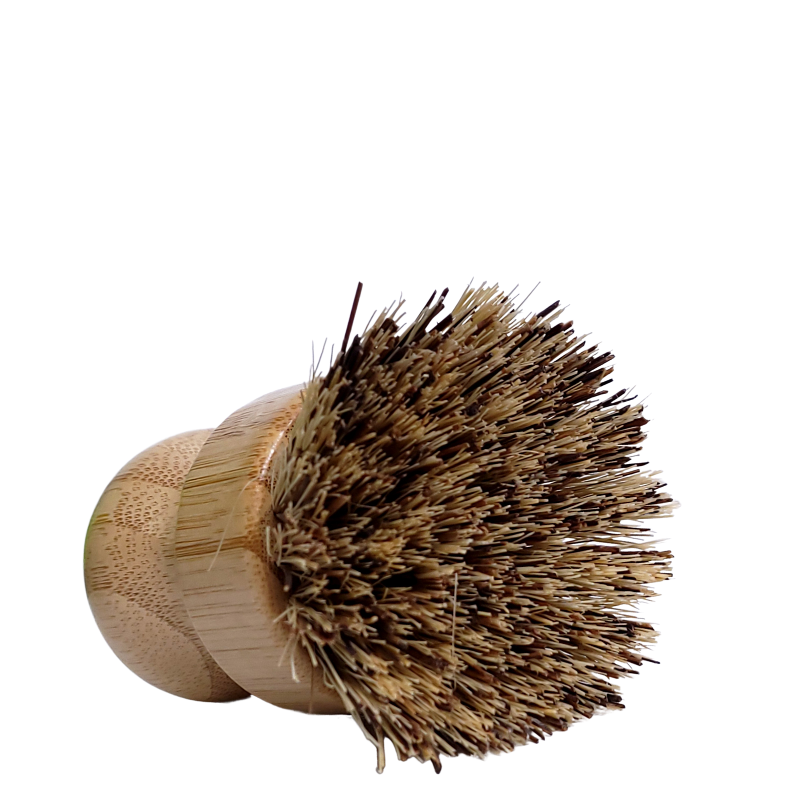 Brosse à Vaisselle et à légumes