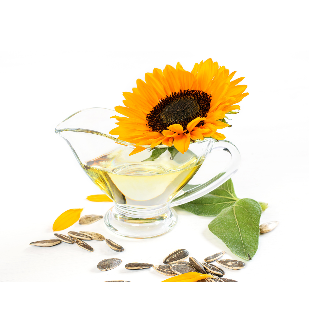 Huile végétale de Tournesol